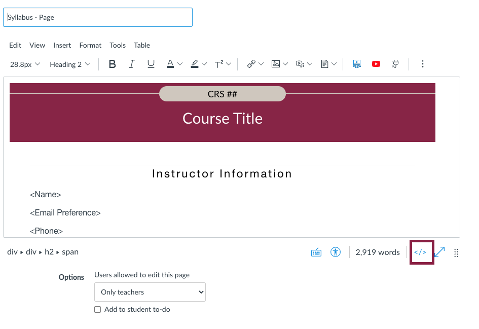 Screen shot of the Canvas Syllabus Template with the source code editor symbol highlighted. 